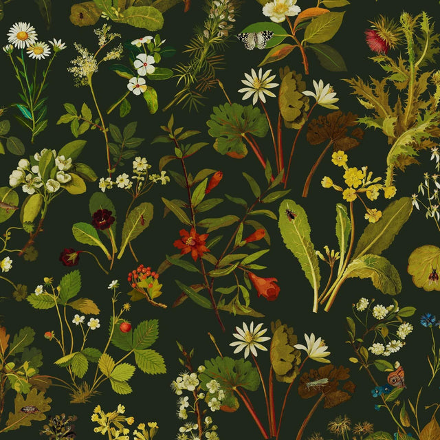 House of Hackney HERBARIUM Wallpaper - Forest Green-Spruce (9'10" - full height)