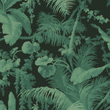 House of Hackney PAMPAS Wallpaper - Noir (9'10" - full height)