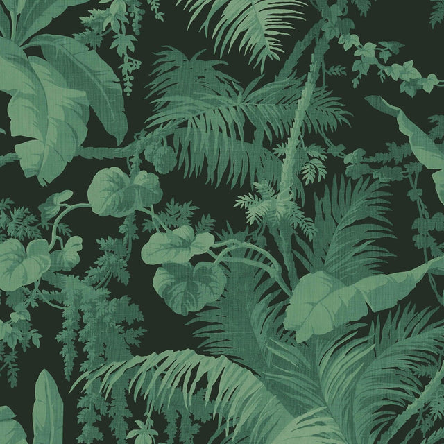 House of Hackney PAMPAS Wallpaper - Noir (9'10" - full height)