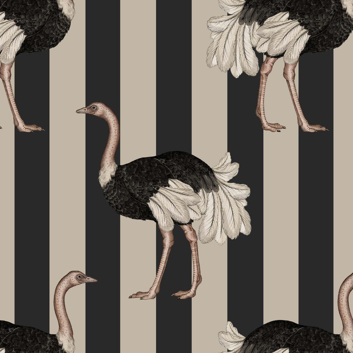 House of Hackney PRIDE Wallpaper - Clay & Off Black (9'10" - full height)