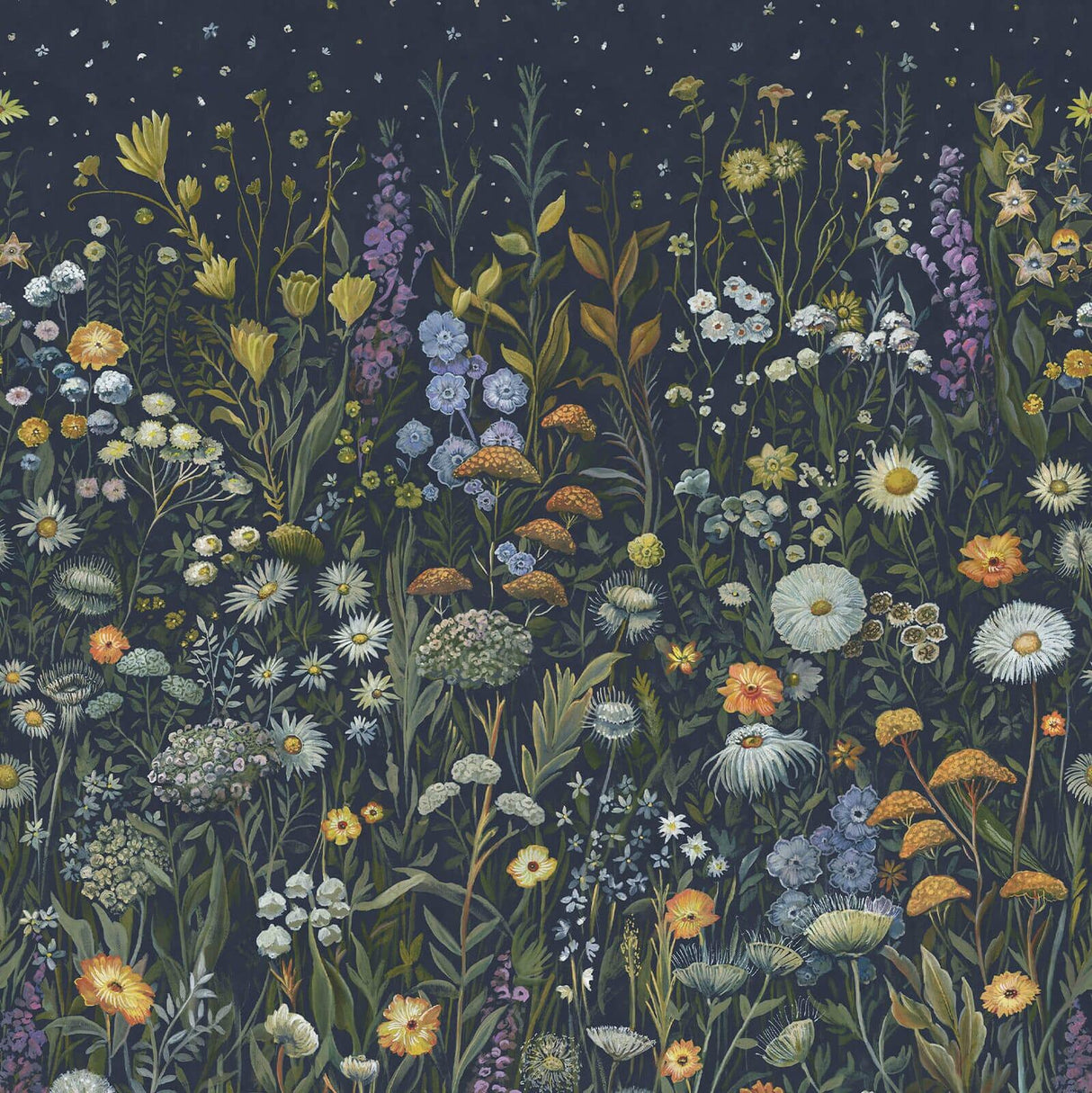 House of Hackney PRATARIA Wallpaper - Galaxias (9'10" - full height)