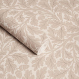 House of Hackney QUERCUS Wallpaper - Astrantia (9'10" - full height)