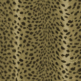 House of Hackney SAVANNA Wallpaper - Auric (9'10" - full height)
