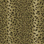 House of Hackney SAVANNA Wallpaper - Auric (9'10" - full height)