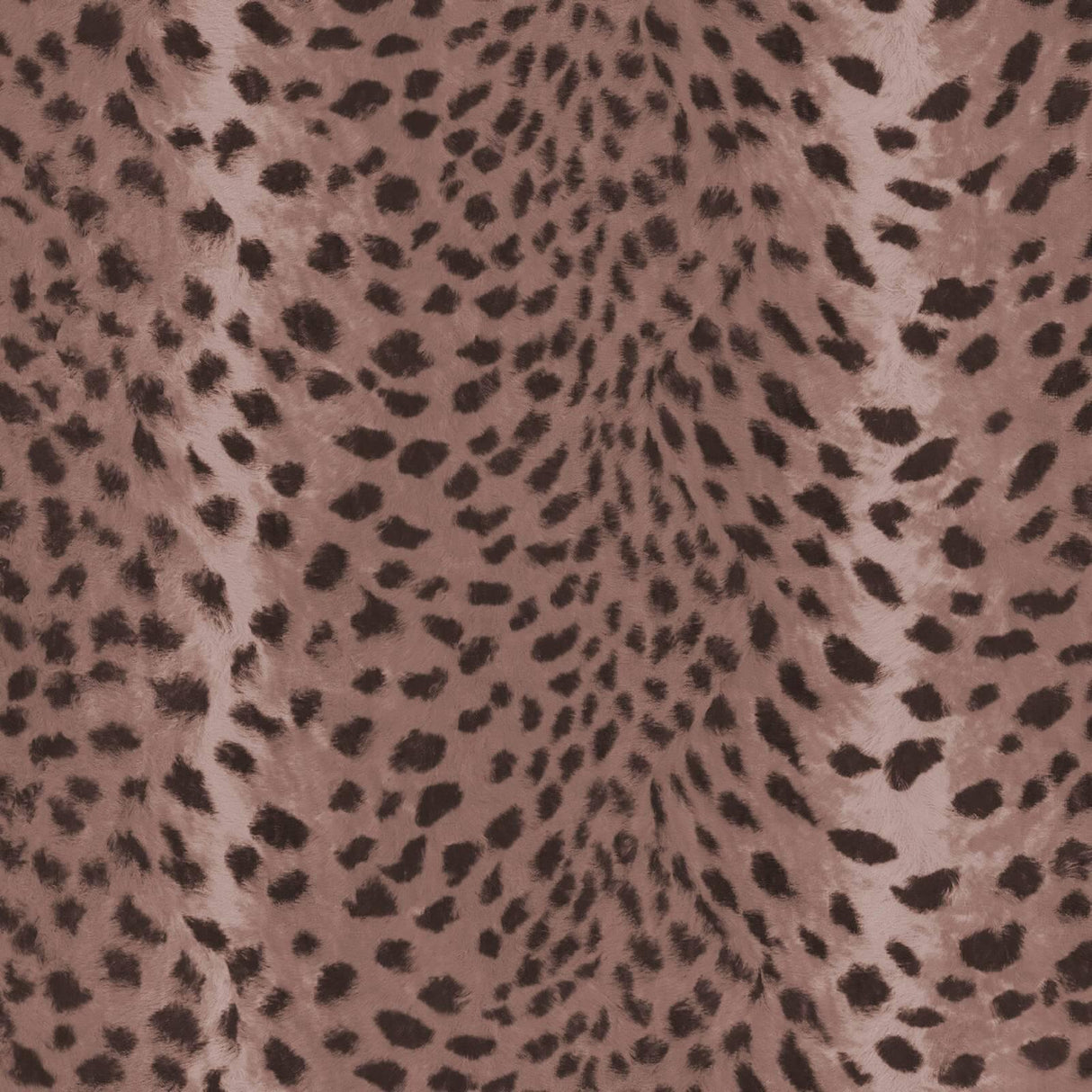 House of Hackney SAVANNA Wallpaper - Cosmos (9'10" - full height)