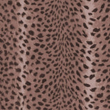 House of Hackney SAVANNA Wallpaper - Cosmos (9'10" - full height)