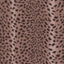 House of Hackney SAVANNA Wallpaper - Cosmos (9'10" - full height)