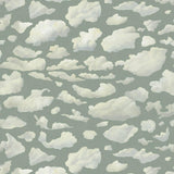 House of Hackney STRATUS Wallpaper - Sage (9'10" - full height)