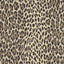 House of Hackney WILD CARD Wallpaper - Butterscotch (9'10" - full height)