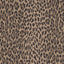 House of Hackney WILD CARD Wallpaper - Earth (9'10" - full height)
