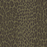 House of Hackney WILD CARD Wallpaper - Laurustine (9'10" - full height)