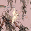 House of Hackney ZEUS Wallpaper - Blush (9'10" - full height)