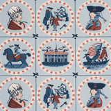 Schumacher George Washington Sky Fabric