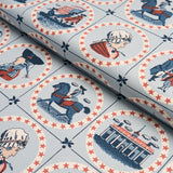 Schumacher George Washington Sky Fabric