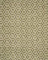Schumacher Manali Hand-Print Green Fabric
