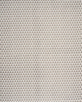 Schumacher Amisha Hand-Print Blue & Brown Fabric