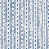 Schumacher Nidhi Stripe Hand-Print Sky Fabric