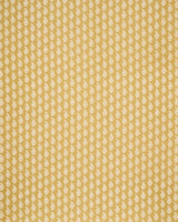 Schumacher Kaia Paisley Hand-Print Yellow Fabric