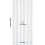 Schumacher Mahdavi Stripe Sky Wallpaper