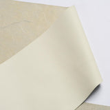Schumacher Ivory Westby Leather Binding