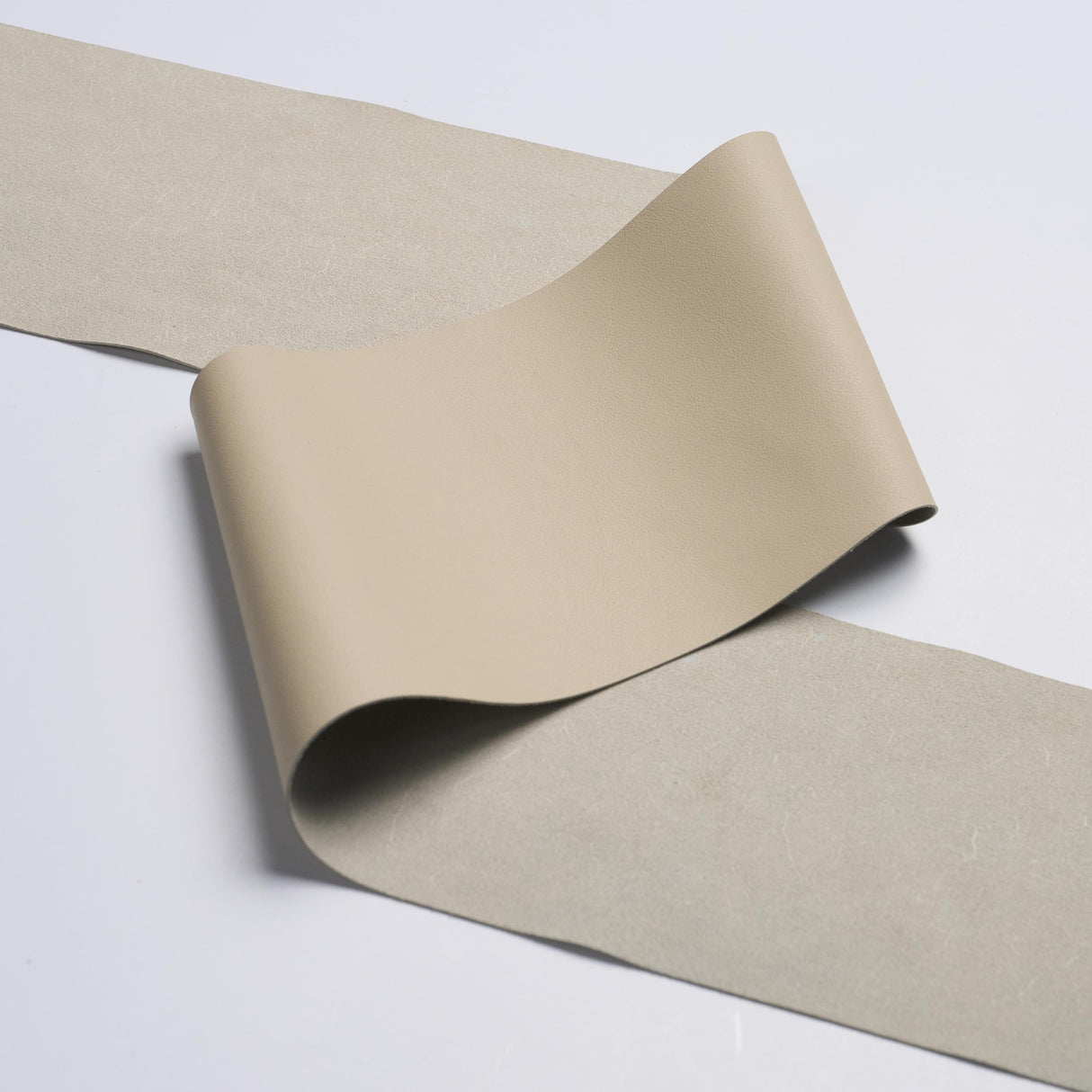 Schumacher Beige Westby Leather Binding