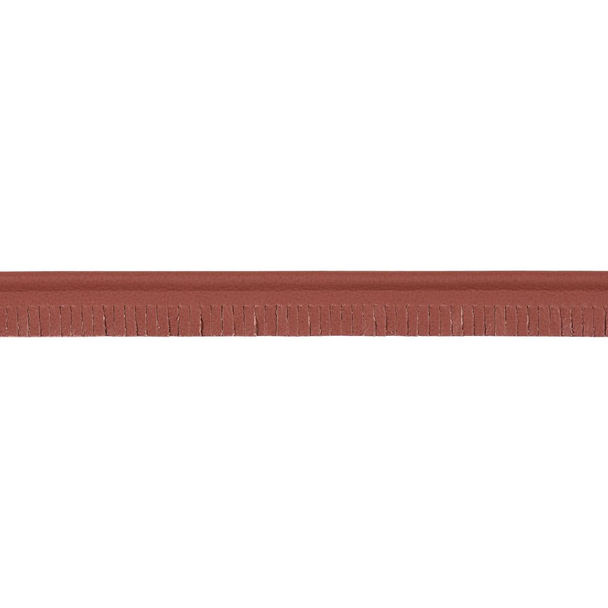 Schumacher Rust Burnham Narrow Leather Piping