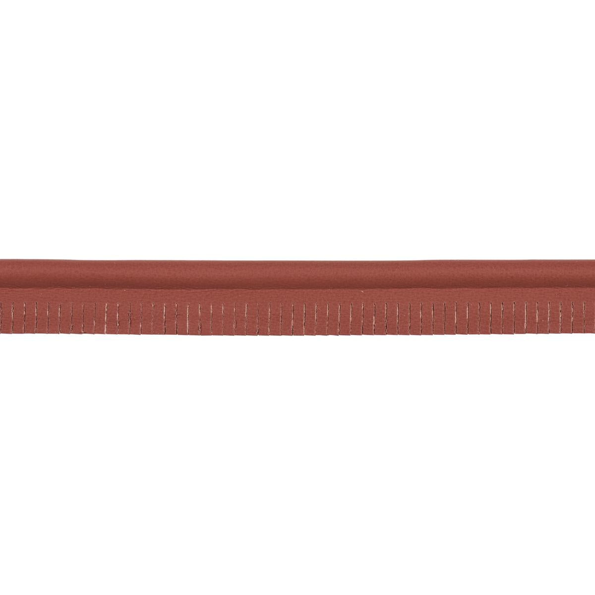 Schumacher Rust Burnham Medium Leather Piping
