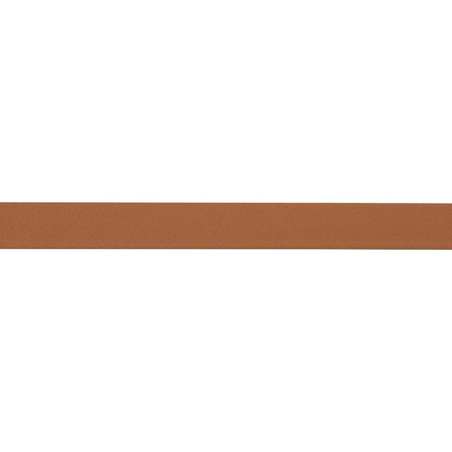 Schumacher Camel Frazer Narrow Leather Trim