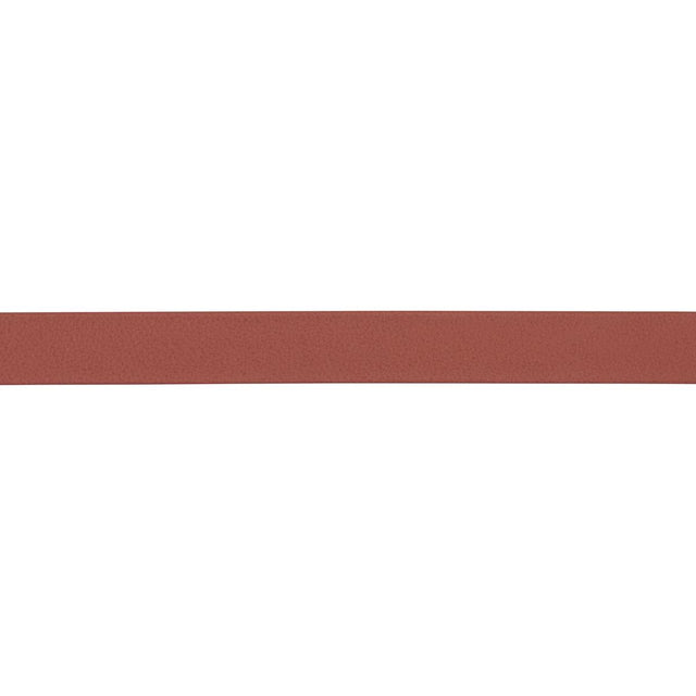 Schumacher Rust Frazer Narrow Leather Trim