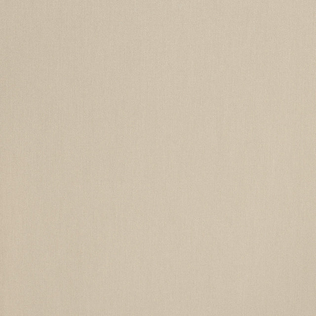Coraggio Camarosa Drive Cashew Fabric