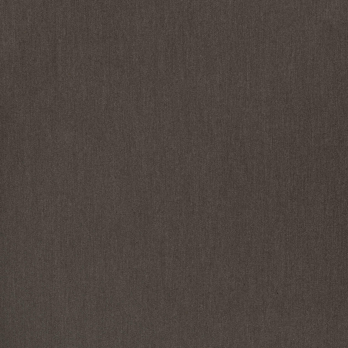 Coraggio Camarosa Drive Java Fabric