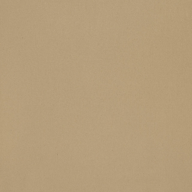 Coraggio Camarosa Drive Topaz Fabric