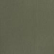 Coraggio Camarosa Drive Olive Fabric