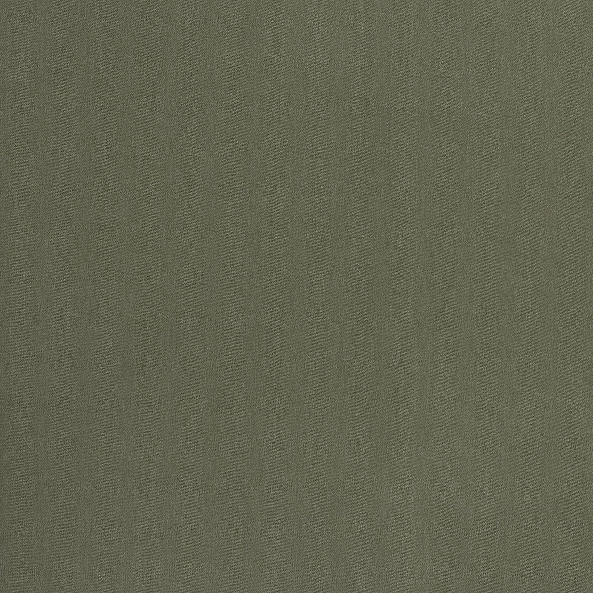 Coraggio Camarosa Drive Olive Fabric