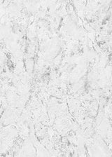 Veer Decor Venetian Stucco Light Grey Wallpaper