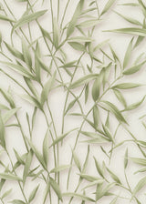 Veer Decor Sylvan Bamboo Fronds Green Wallpaper