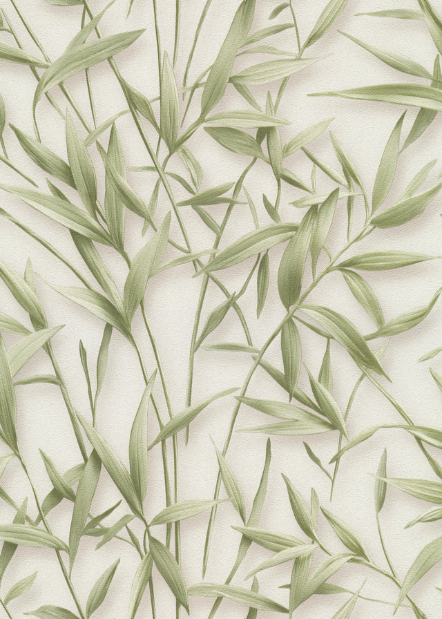 Veer Decor Sylvan Bamboo Fronds Green Wallpaper