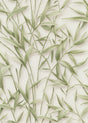 Veer Decor Sylvan Bamboo Fronds Green Wallpaper