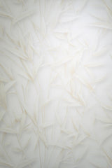 Veer Decor Sylvan Bamboo Fronds Beige Wallpaper