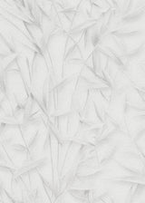 Veer Decor Sylvan Bamboo Fronds Light Grey Wallpaper