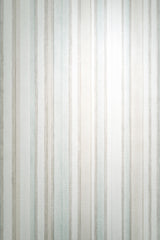 Veer Decor Soft Watercolor Stripe Petroleum Wallpaper