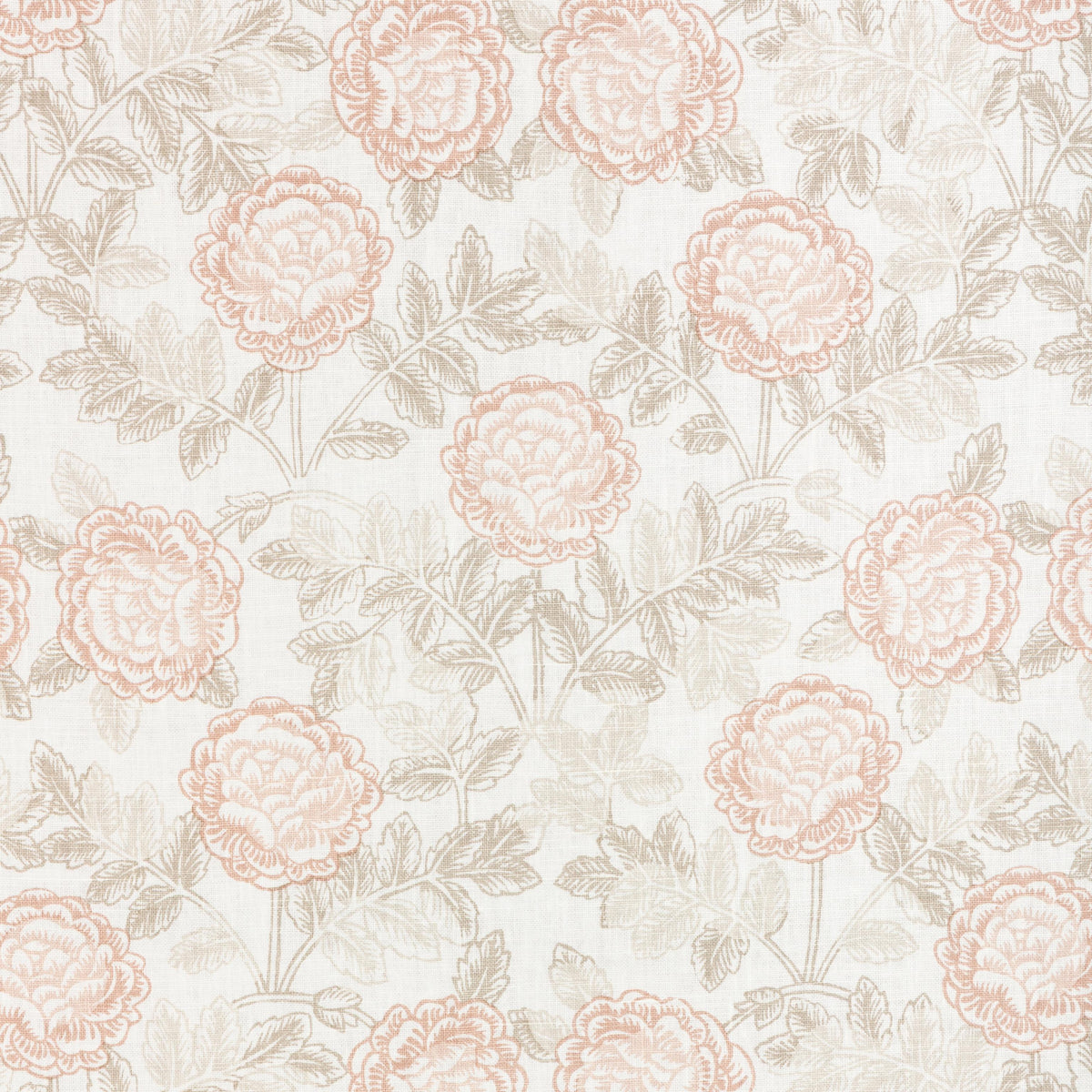 Kravet LYLA SHELL/SANDPIPER Fabric
