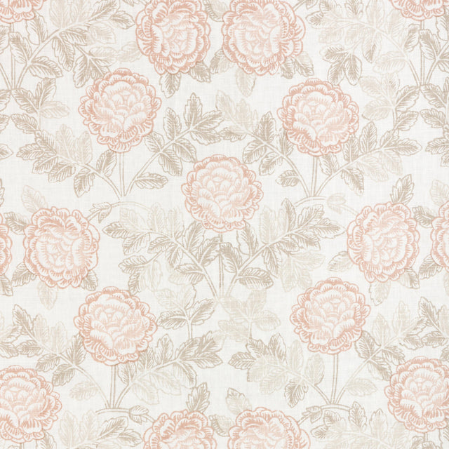Kravet LYLA SHELL/SANDPIPER Fabric