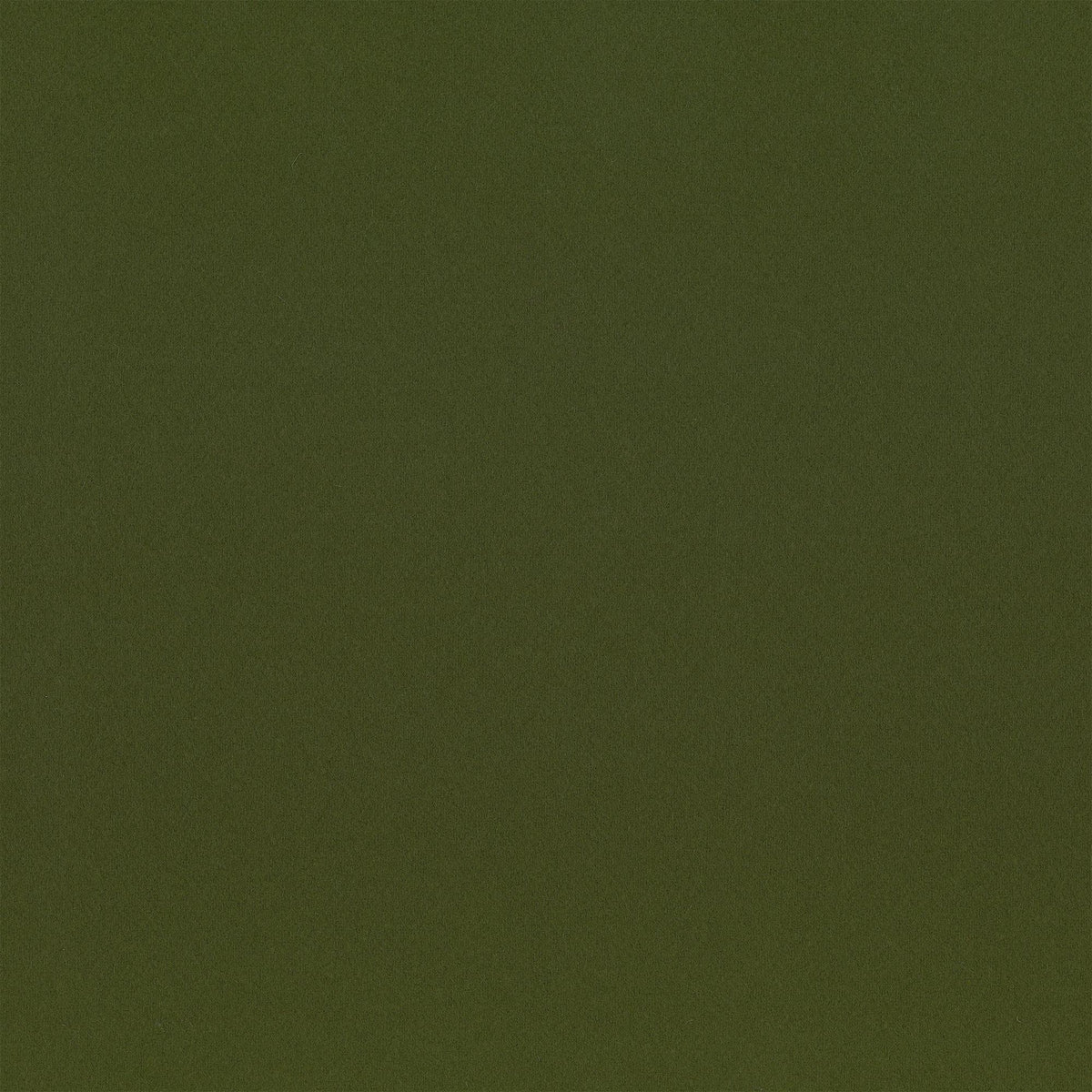Lizzo HIGHLAND 13 Upholstery Fabric