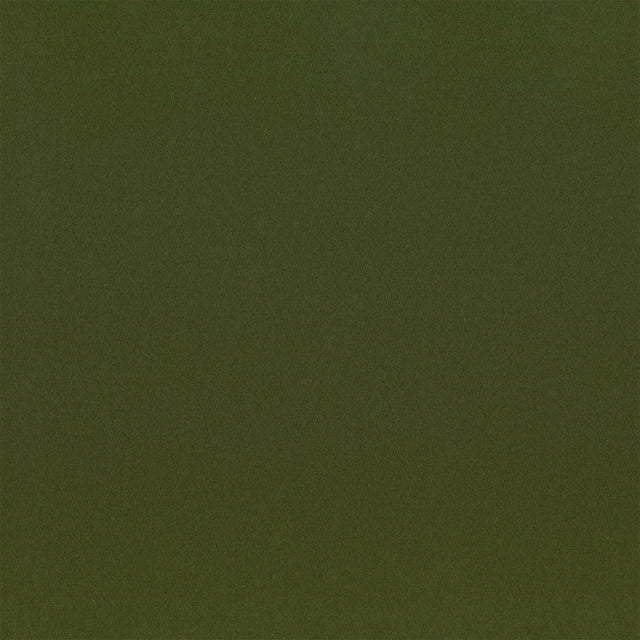 Lizzo HIGHLAND 13 Upholstery Fabric