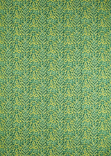 Clarke & Clarke FELIS LIME Fabric