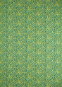 Clarke & Clarke FELIS LIME Fabric