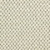 Clarke & Clarke SOTANO PALM Upholstery Fabric