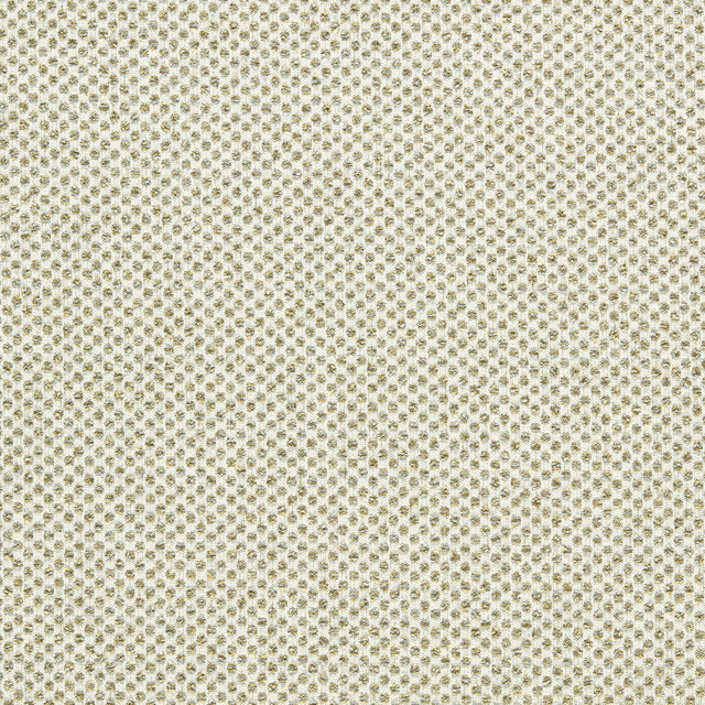 Clarke & Clarke SOTANO PALM Upholstery Fabric