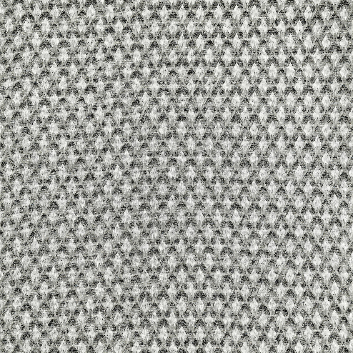 Clarke & Clarke TORRE DOVE/NOIR Upholstery Fabric
